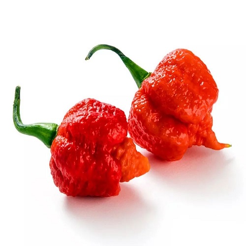 1578022341584650.jpg 15776954343440511.jpg