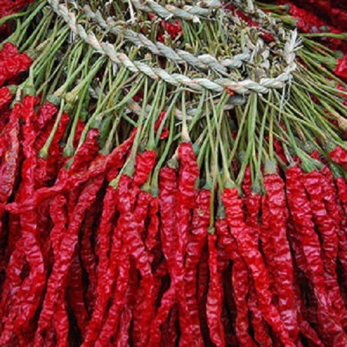 1578022461821093.jpg 15776954434381241.jpg